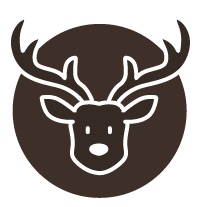 out/pictures/discount_banner/019abac7-1f69-7c63-869f-42c1d4193f21.png Vorschaubild