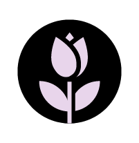 out/pictures/discount_banner/019db9be-3759-796c-a5d2-b986bbcb78d5.png Vorschaubild