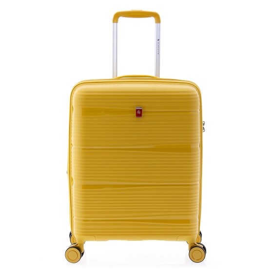Gladiator 0800 4 ruote Carrello 55 cm con piega di espansione