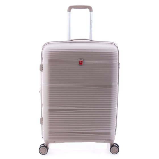 Gladiator 0800 4 ruote Carrello 65 cm con piega di espansione