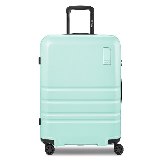 Redolz Pro ABS 4 ruote Carrello 65 cm espandibile