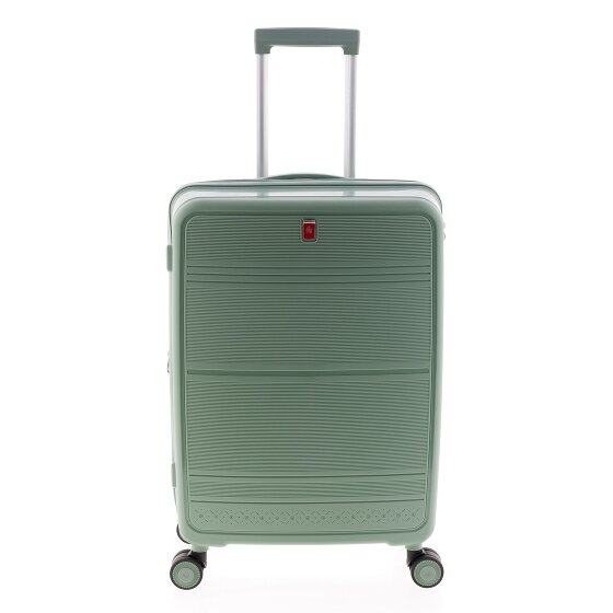 Gladiator 3500 4 ruote Carrello 65 cm con piega di espansione