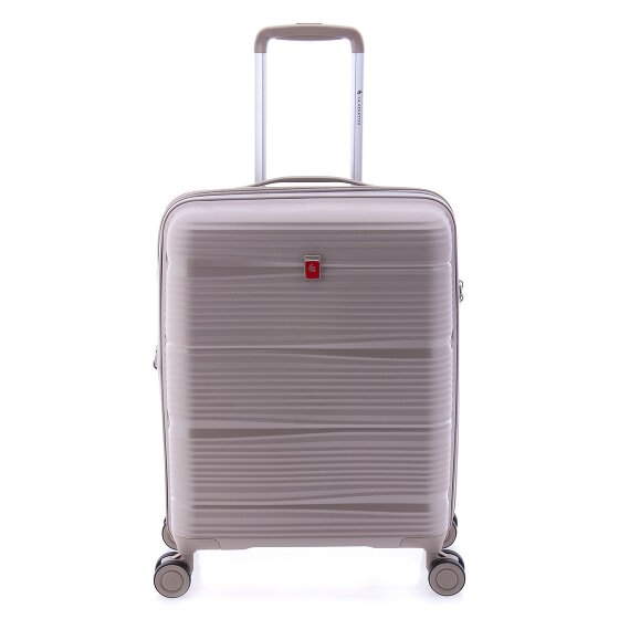 Gladiator 0800 4 ruote Carrello 55 cm con piega di espansione