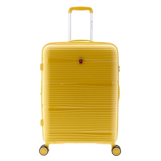 Gladiator 0800 4 ruote Carrello 65 cm con piega di espansione
