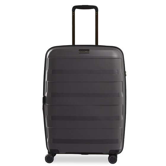 Stratic Paglia + carrello a 4 ruote 65 cm