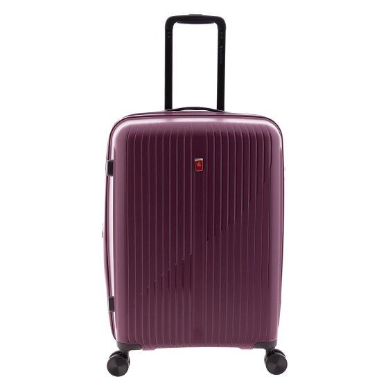 Gladiator 5000 4 ruote Carrello 63 cm con piega di espansione