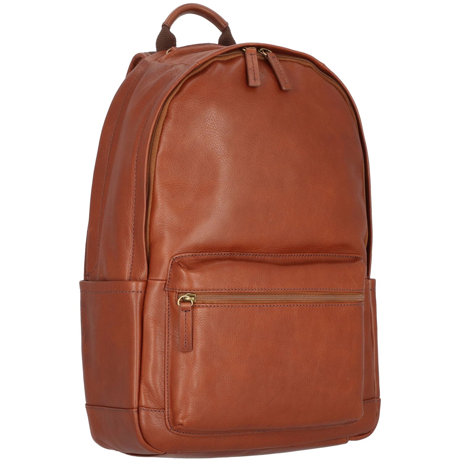 Zaino fossil sales