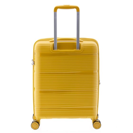 Gladiator 0800 4 ruote Carrello 55 cm con piega di espansione