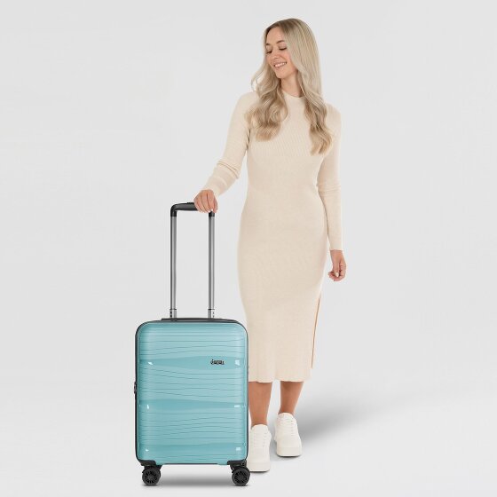 d&n Travel Line 4300-Plus 4 ruote Carrello della cabina S 55 cm con piega di espansione