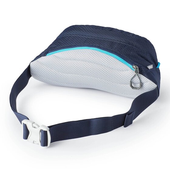 Gregory Nano Waistpack 3.5 Marsupio 33 cm