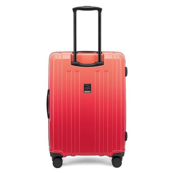 Epic Crate EX Wildlife 4 ruote Set di valigie 3 pezzi