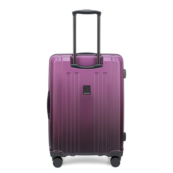 Epic Crate EX Wildlife 4 ruote Set di valigie 3 pezzi