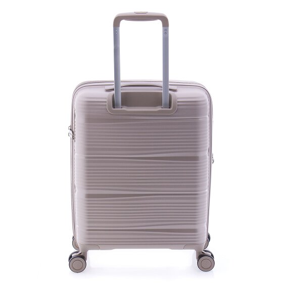 Gladiator 0800 4 ruote Carrello 55 cm con piega di espansione