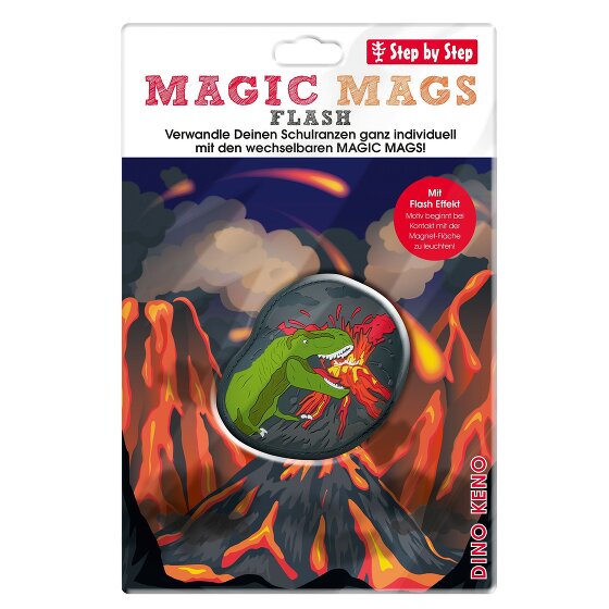 Step by Step Mags Flash