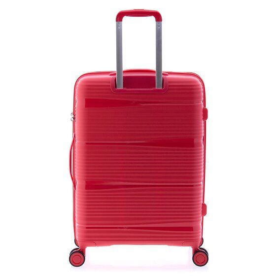Gladiator 0800 4 ruote Carrello 65 cm con piega di espansione