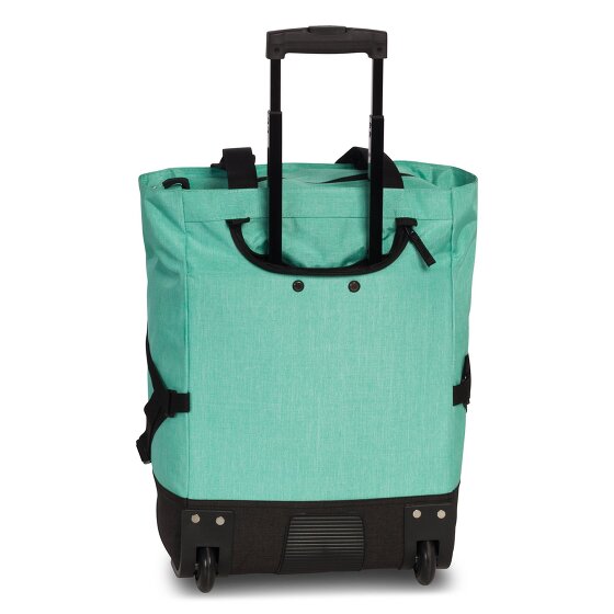 Punta Cool Carrello della spesa 50 cm