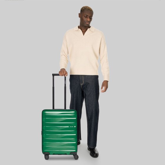 Bergpfeil Carrello da viaggio a 4 ruote per cabina S 55 cm con piega ad espansione