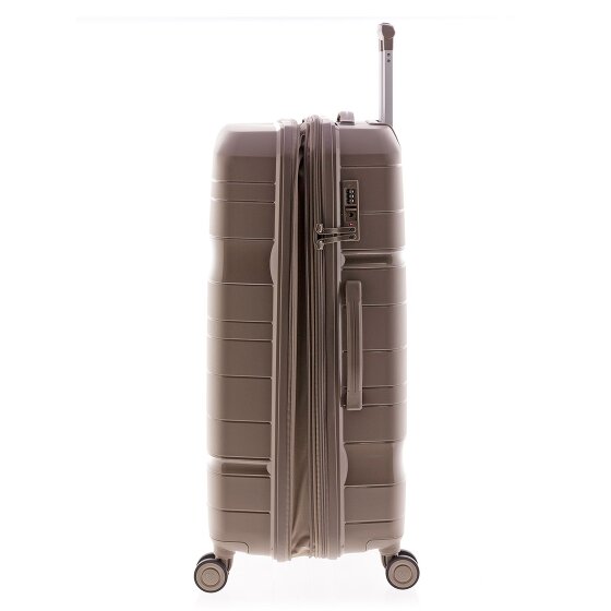 Gladiator 3800 4 ruote Carrello 77 cm con piega di espansione