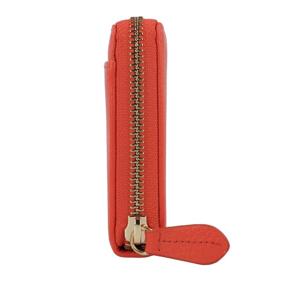 Braun Büffel Asti Portafoglio Protezione RFID Pelle 19 cm