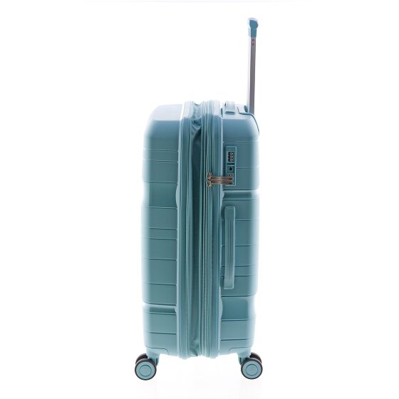 Gladiator 3800 4 ruote Carrello 67 cm con piega di espansione