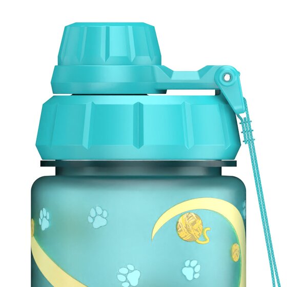 Step by Step Bottiglia per bere 550 ml