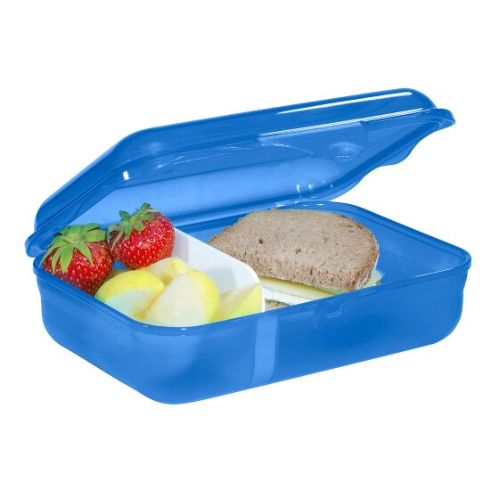 Step by Step Cestino per il pranzo 18 cm