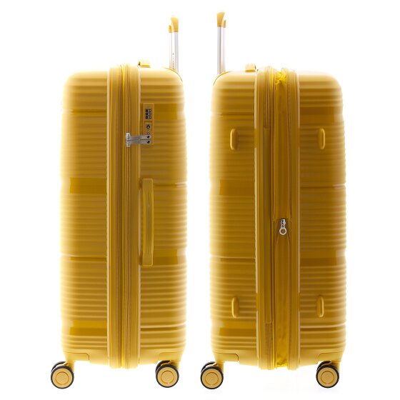 Gladiator 0800 4 ruote Carrello 76 cm con piega di espansione