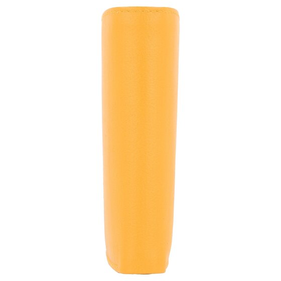 Esquire Portafoglio Perù RFID in pelle 9,5 cm