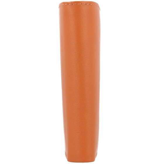 Esquire Portafoglio Perù RFID in pelle 9,5 cm