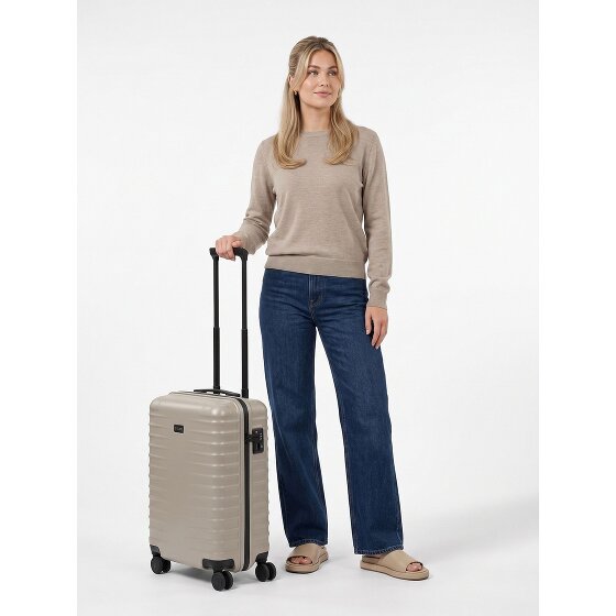 Titan Upgrade 4 ruote Trolley cabina S 55 cm