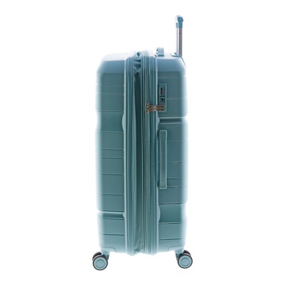 Gladiator 3800 4 ruote Carrello 77 cm con piega di espansione