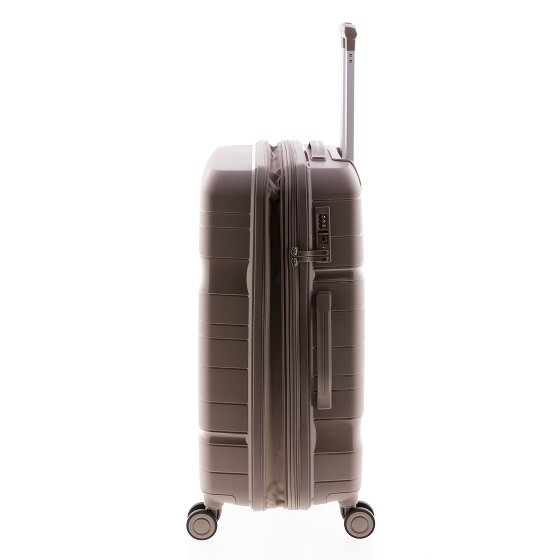 Gladiator 3800 4 ruote Carrello 67 cm con piega di espansione