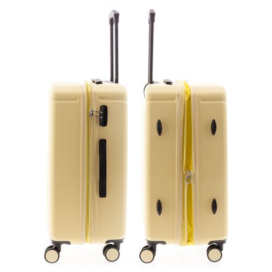 Gladiator 2900 4 ruote Carrello M 67 cm con piega di espansione