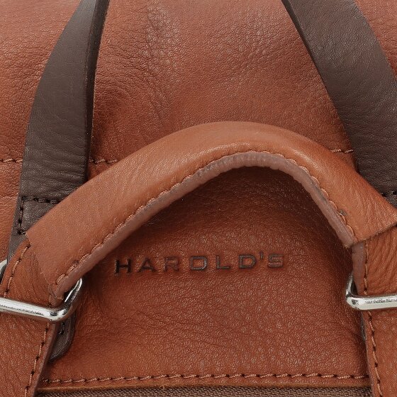 Harold's Lift Zaino da città Pelle 33 cm