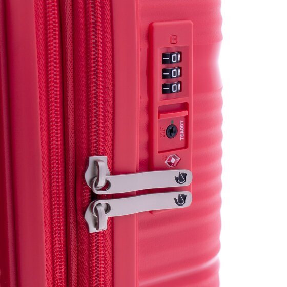 Gladiator 0800 4 ruote Carrello 55 cm con piega di espansione Gladiator 0800 4 ruote Carrello 55 cm con piega di espansione