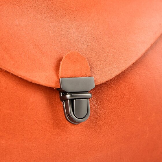 Harold's Fold Borsa a tracolla Pelle 20 cm