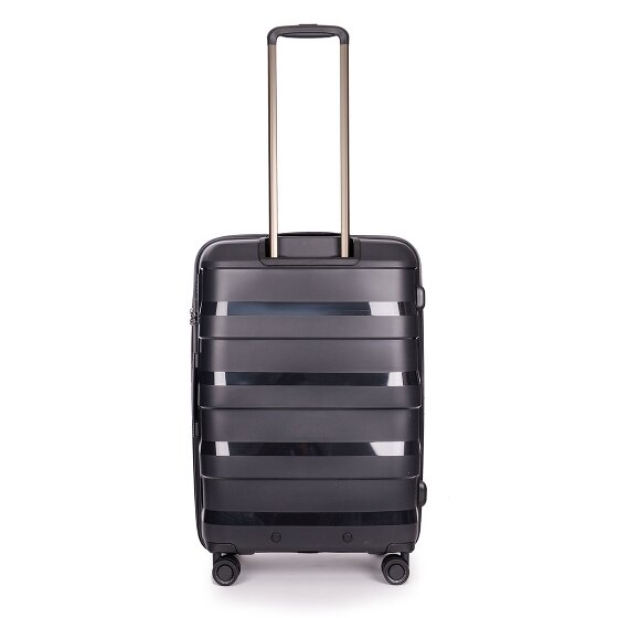 Stratic Paglia + carrello a 4 ruote 65 cm