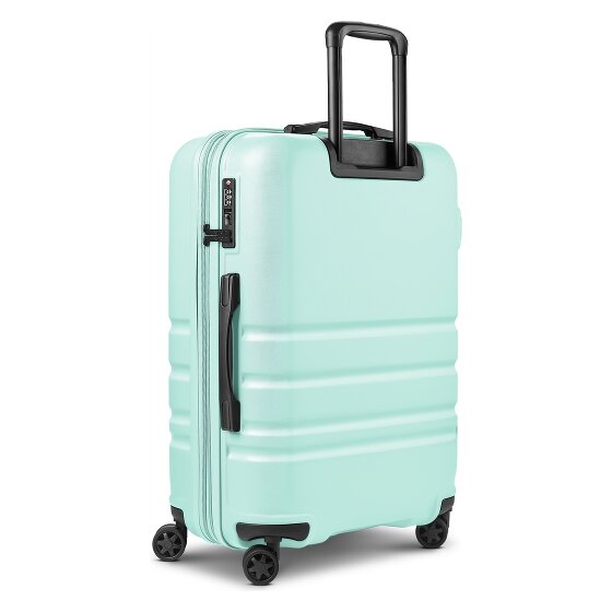 Redolz Pro ABS 4 ruote Carrello 65 cm espandibile