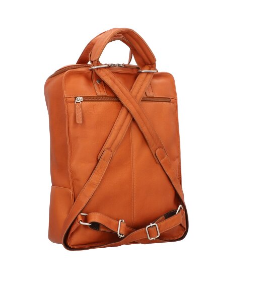 Harold's Campo Zaino in pelle 45 cm Scomparto per laptop