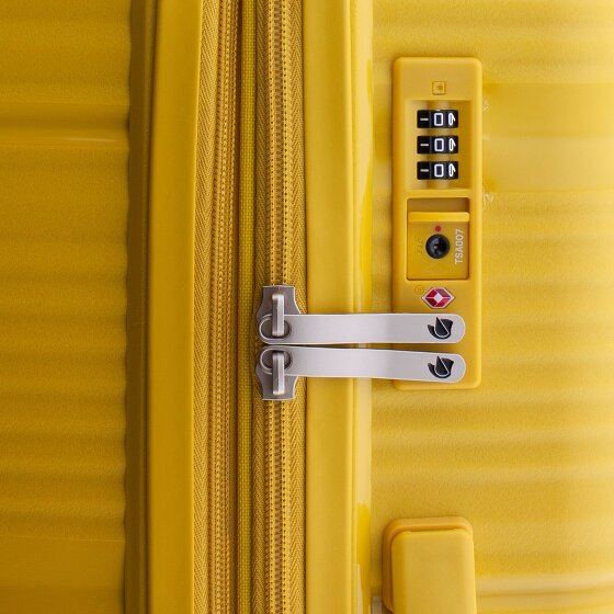 Gladiator 0800 4 ruote Carrello 65 cm con piega di espansione