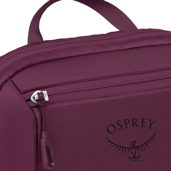 Osprey Borsa per dispositivi elettronici Ozone da 26 cm