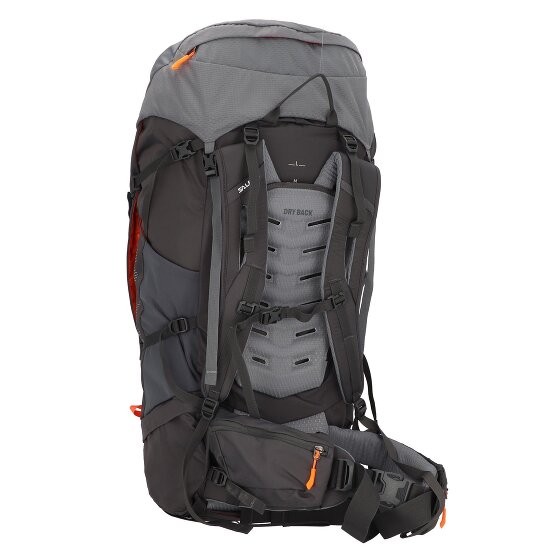 Salewa Zaino Alptrek 65 Pro 81 cm