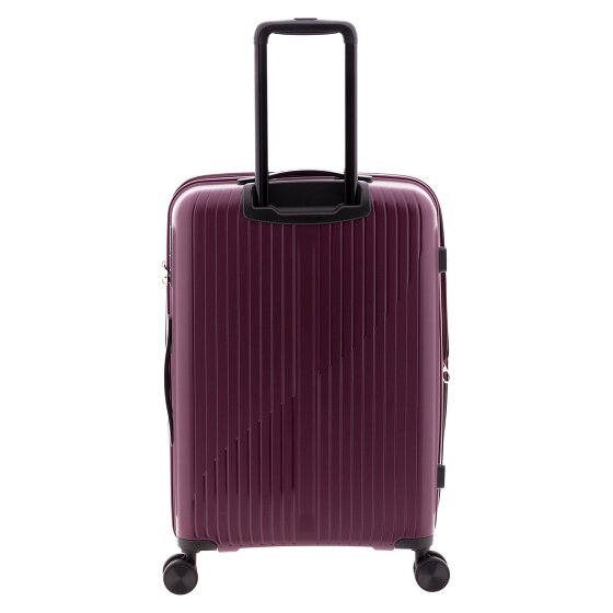 Gladiator 5000 4 ruote Carrello 63 cm con piega di espansione