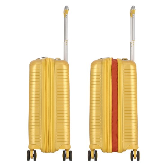 Jump Evae 4 ruote Carrello della cabina 55 cm con piega di espansione