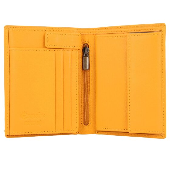 Esquire Portafoglio Perù RFID in pelle 9,5 cm