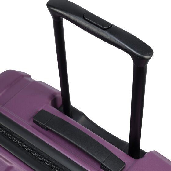 Epic Crate EX Wildlife 4 ruote Set di valigie 3 pezzi