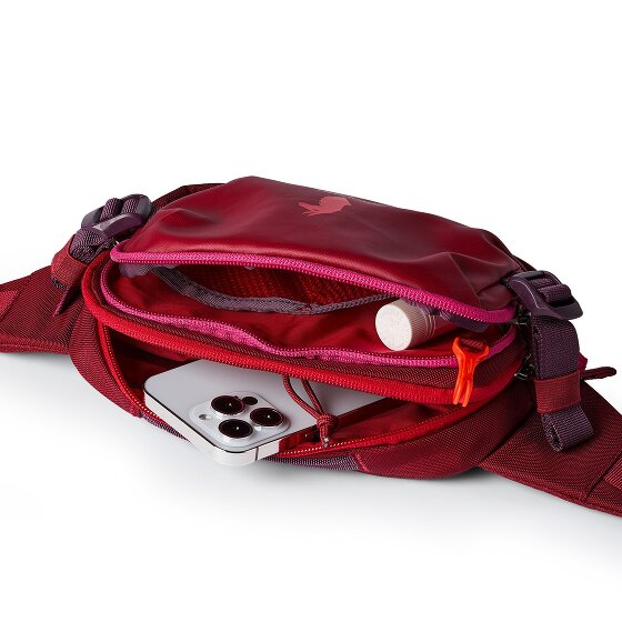 Cotopaxi Allpa Marsupio 24 cm