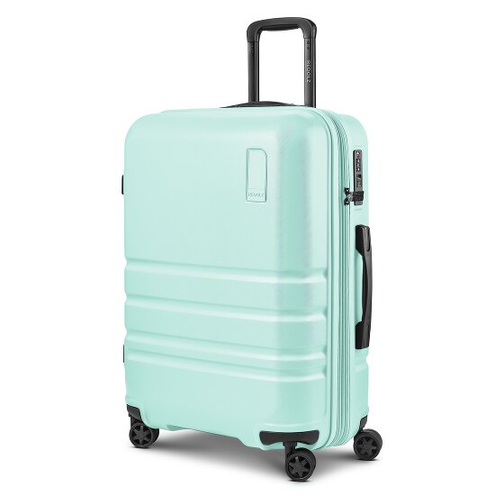 Redolz Pro ABS 4 ruote Carrello 65 cm espandibile