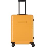 Horizn Studios H6 Essential Carrello lucido a 4 ruote 64 cm Foto del prodotto