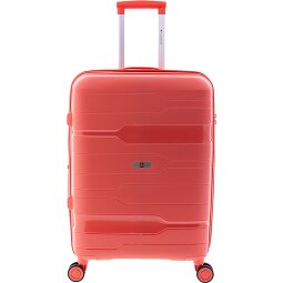 Gladiator 3800 4 ruote Carrello 67 cm con piega di espansione  Variante 4